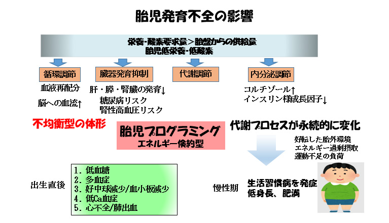 連載ばぁばみちこコラム 第四十二回 赤ちゃんに問題となる妊娠合併症 胎児発育不全 ここすまネット