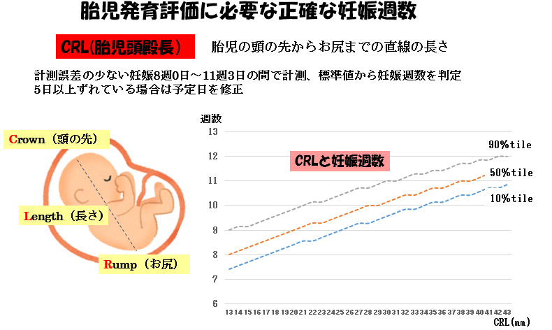 連載ばぁばみちこコラム 第四十二回 赤ちゃんに問題となる妊娠合併症 胎児発育不全 ここすまネット